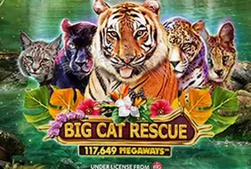 Big Cat Rescue Megaways