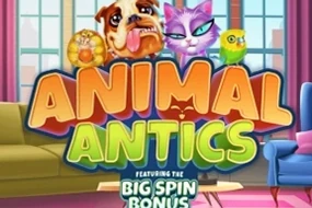 Animal Antics